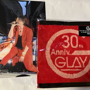 GLAY 30th Anniversary エンタメくじ vol.2 TERU 2種セット