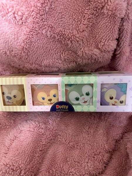 香港ディズニー 海外 ダッフィーフレンズ お菓子 ケースのみ グッズ Disney