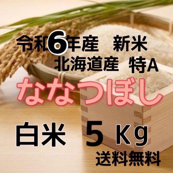 【新米】令和6年産 北海道米 ななつぼし 白米 5kg