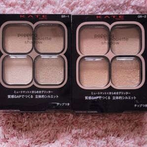 KATE ケイト ポッピングシルエットシャドウ OR-2 BR-1