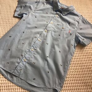 【CHUMS/チャムス】半袖シャツ Lサイズ(小さめ M-L) ブルー 水色 総柄 刺繍 コットン ブービーバード柄 開襟シャツ