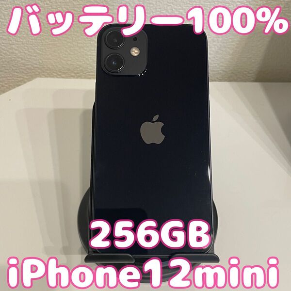 【訳あり美品】iPhone12 mini 256GB ブラック バッテリー100%
