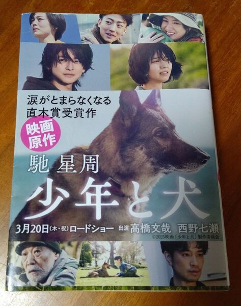少年と犬 (文春文庫 は25-10) 馳星周/著