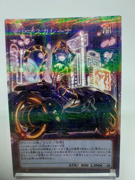 ◆展示用◆ACG I:Pマスカレーナ 絵違い イラスト違い