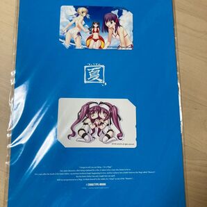 TYPE-MOON Fate 2006年 C70 テレホンカード セイバー 凛 桜
