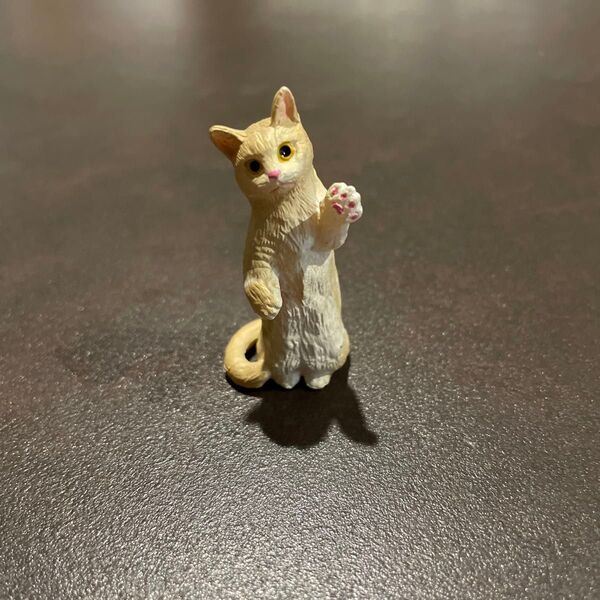 ミニチュアプラネット マンチカン