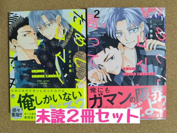 未読◆ためしにコマンド言ってみた1 2◆ゆくえ萌葱◆2冊セット