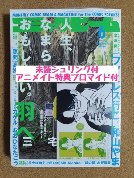 未読◆コミックビーム2025年6月号◆アニメイト特典ブロマイド◆ファミレス行こ。カラオケ行こ!成田狂児