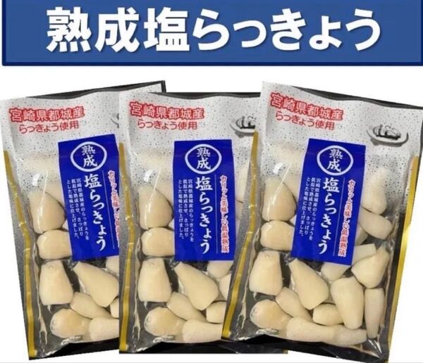 【宮崎のお漬物】熟成・塩らっきょう(塩漬け)80g 3袋 上沖産業さっぱり塩味