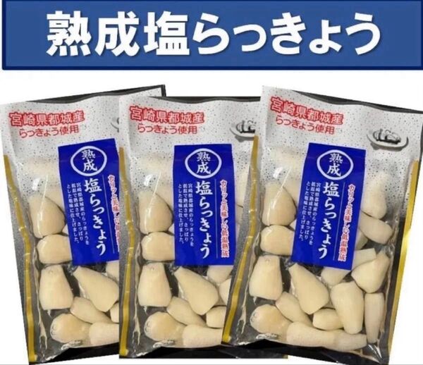 【宮崎のお漬物】熟成・塩らっきょう(塩漬け)80g 3袋 上沖産業さっぱり塩味