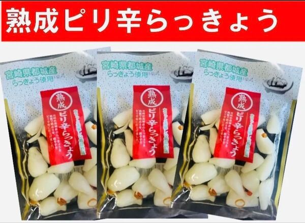 宮崎のお漬物】熟成・ピリ辛らっきょう(甘酢漬)80g 3袋 唐辛子のピリ辛