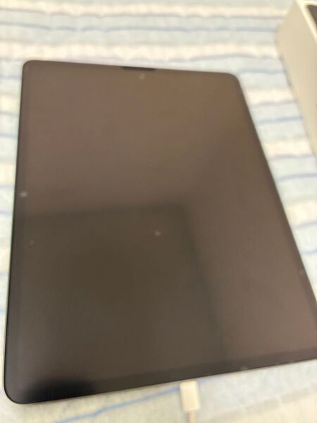 Apple iPad Pro 12.9インチ 256GB WiFiモデル