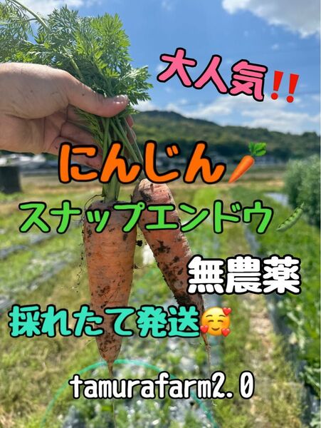 【農薬、化学肥料、除草剤不使用】にんじん+スナップエンドウ