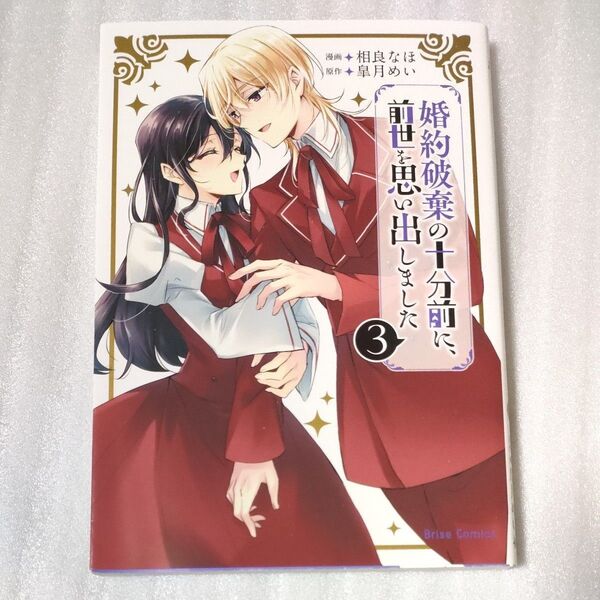 婚約破棄の十分前に、前世を思い出しました 3 (ブリーゼコミックス) 相良なほ/著 皐月めい/原作