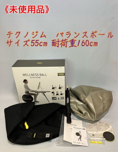 ≪未使用品≫テクノジム アクティブシッティング バランスボールチェア 55cm(イタリア製)