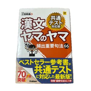 漢文ヤマのヤマ 頻出重要句法66 共通テスト対応版