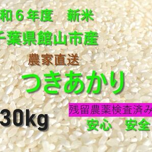 令和6年度 千葉県館山市産 つきあかり 玄米30キロ 農家直送 残存農薬検査 安心安全 一等米