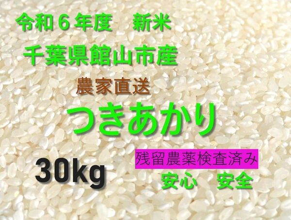 令和6年度 千葉県館山市産 つきあかり 玄米30キロ 農家直送 残存農薬検査 安心安全 一等米