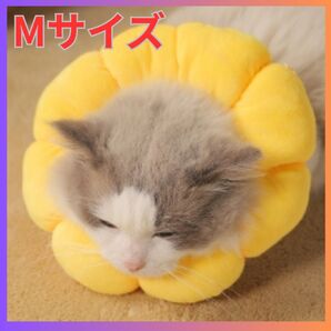 お花型!M エリザベスカラー ペット 犬 猫 去勢 手術 傷舐め防止 かわいい