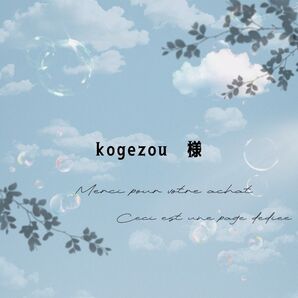 kogezou 様 ご専用ページ【5/15】