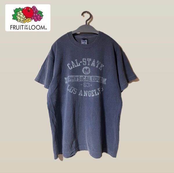 90s FRUIT OF THE ROOM フルーツオブザルーム カレッジT シングルステッチ 丸胴 茄子紺 一点物 USA