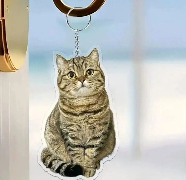 キジトラ アクリル キーホルダー キーリング 猫 ねこ ネコ かわいい 2D