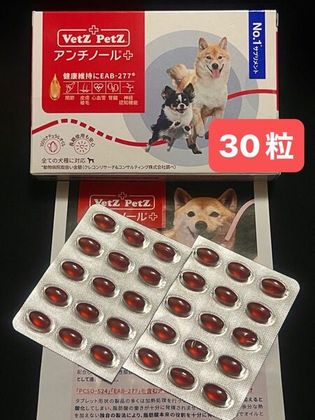 ☆Vetz Petz アンチノール プラス☆犬用サプリメント/30粒
