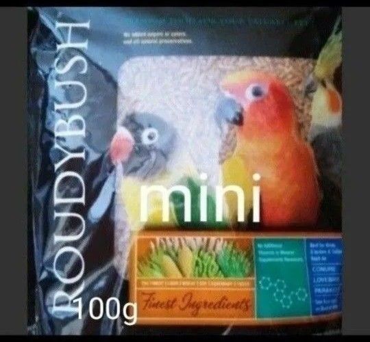 ラウディブッシュ メンテナンス ミニ 100g
