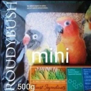ラウディブッシュ デイリーメンテナンスミニ 500g