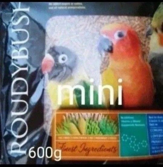 ラウディブッシュ メンテナンス ミニ 600g