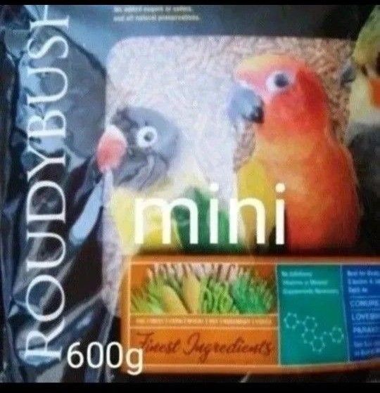 ラウディブッシュ メンテナンス ミニ 600g