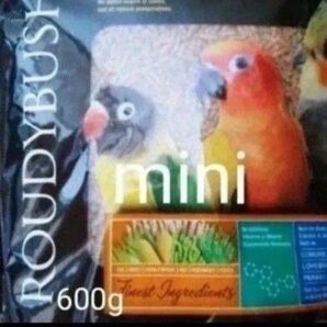 ラウディブッシュ デイリーメンテナンスミニ 600g