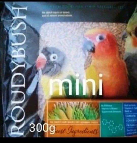 ラウディブッシュ メンテナンス ミニ 300g