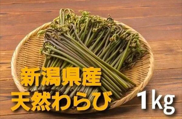 【良質】新潟県産天然わらび1kg