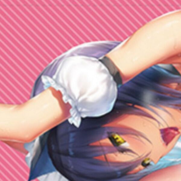 COMIC X-EROS 98 メロンブックス限定特典 ぴょん吉 B2タペストリー