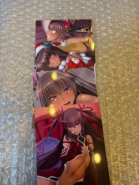 C105あなたの花嫁 水城ゆきかぜと過ごした思い出フォトコレクション 対魔忍RPGX