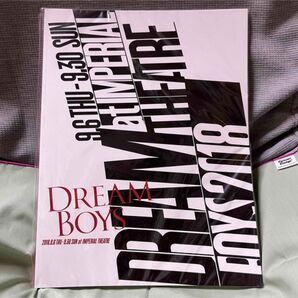 舞台 DREAM BOYS 2018 パンフレットドリボ