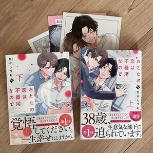 おとなの恋は不器用なので 上下 ひがしづむ アニメイトリーフレット 小冊子