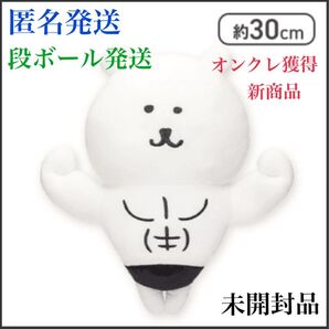 ナガノキャラクターズ 自慢の筋肉BIGぬいぐるみ