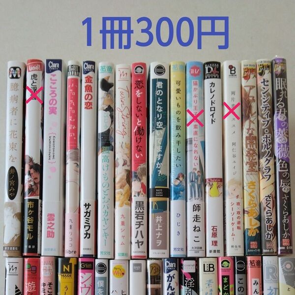 BLコミック/中古/まとめ売り/バラ売り/1冊300円~
