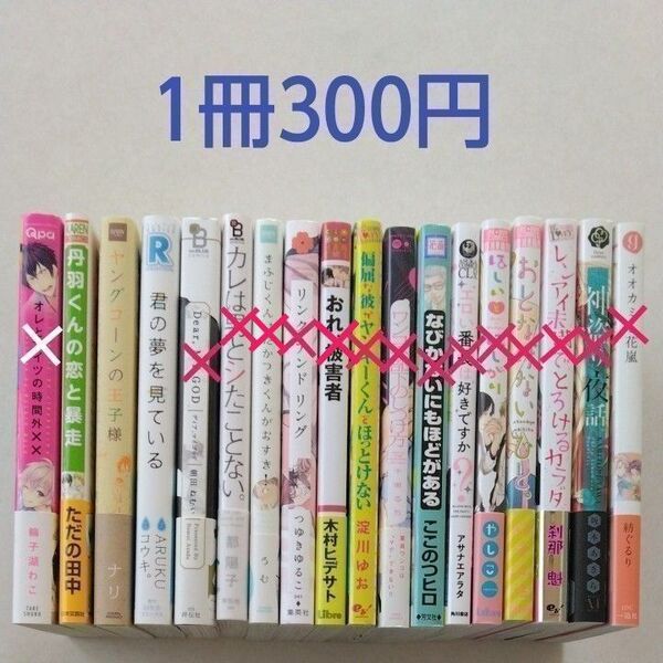 BLコミック/中古/まとめ売り/バラ売り/1冊300円~4冊600円・③