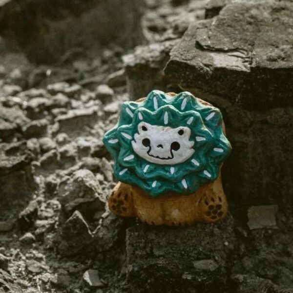 羅本製所 龜甲牡丹君 Ariocarpus Monsterrobin ceramic studio