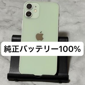 iPhone 12 mini 256GB グリーン SIMフリー バッテリー100%