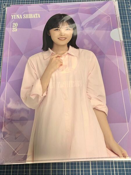 乃木坂 柴田柚菜 クリアファイル