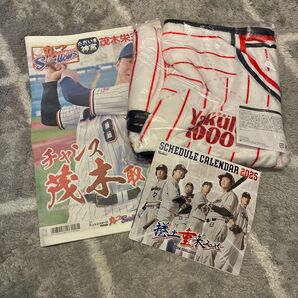 東京ヤクルトスワローズ ユニフォーム型ブランケット プロ野球 ひざかけ