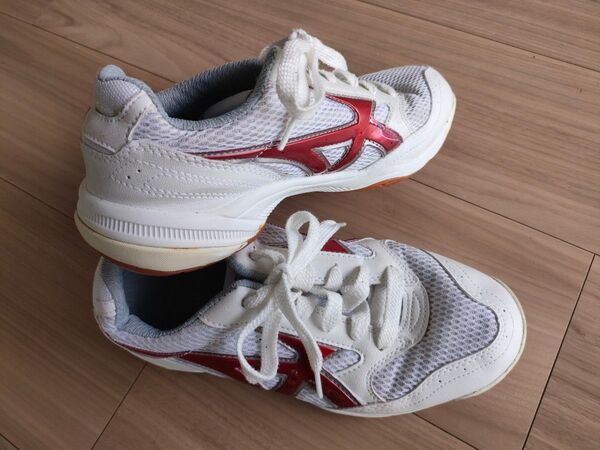 ムーンスターGYMSTAR上履き、体育館 23.5cmEE