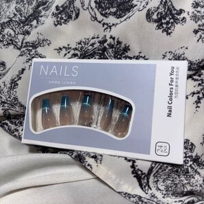 新品未使用 ネイルチップ