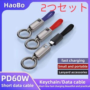 TypeC to C ケーブル ストラップ 2本セット