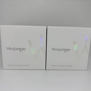 美的 Wonjungyo 01 シャインピンク 2個セット