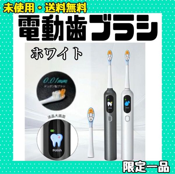 電動歯ブラシ デュポン製ブラシ・0.01mm超極細毛 音波式 超音波振動 IPX7防水 静音 Type-C 替えブラシ付 歯磨き